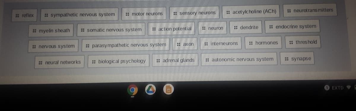 : acetylcholine (ACh)
: neurotrans mitters
reflex
: sympathetic nervous system
: motor neurons
: sensory neurons
: somatic nervous system
: action potential
: neuron
: dendrite
: endocrine system
: myelin sheath
: axon
: interneurons
: hormones
: threshold
: nervous system
: parasympathetic nervous system
: neural networks
: biological psychology
: adrenal glands
: autonomic nervous system
: synapse
EXTD
