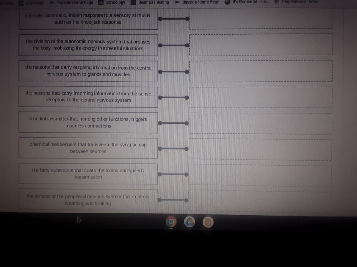 Schoology
1 Bayside Home Page
GSchoology
Desmos | Testing
- Bayside Home Page
It's Elemental - Ele.
K! Play Kahootl-Ente
a simple, automatic, inborn response to a sensory stimulus,
such as the knee-jerk response
the division of the autonomic nervous system that arouses
the body, mobilizing its energy in stressful situations
the neurons that carry outgoing information from the central
nervous system to glands and muscles
the neurons that carry incoming information from the sense
receptors to the central nervous system
a neurotransmitter that, among other functions, triggers
muscles contractions
chemical messengers that transverse the synaptic gap
between neurons
the fatty substance that coats the axons and speeds
transmission
the division of the peripheral nervous system that controls
breathing and blinking
