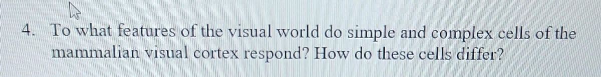 4. To what features of the visual world do simple and complex cells of the
mammalian visual cortex respond? How do these cells differ?