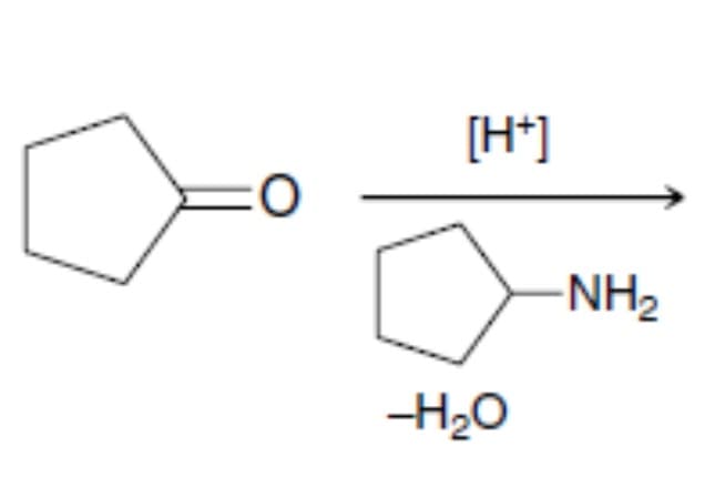 [H*]
O=
-NH2
-H20
