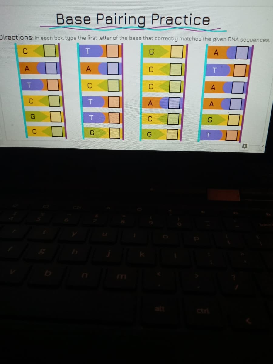 Base Pairing Practice
Directions: In each box, type the first letter of the base that correctly matches the given DNA sequences.
C
G
A
A
C
T
T
C
C
A
C
G
C
G
T.
m
ctr
