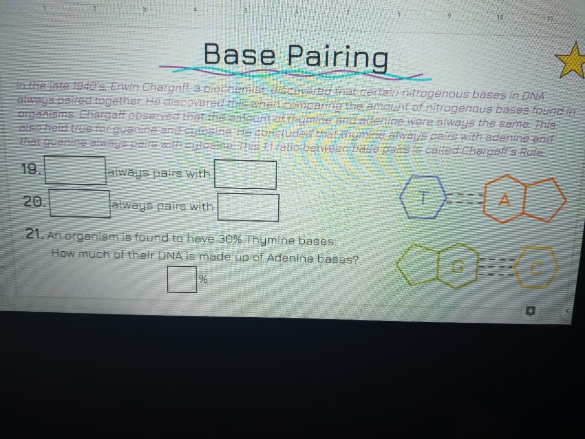 10
Base Pairing
in the late 1940's. Erwin Chargaff, a bioct
always paired together He discover
orgenisms. Chargaff observer
also held true for gua
Thet guenin atwa
vered that cerlain nitrogenous bases in DNA
garing the amount of nitrogenous bases found in
were always the same. This
pairs with adenine and
called Chargaff's Rale
This 1
19
always pairs with
20.
always pairs with
21. An organism is found to have 30% Thymine bases
How much of their DNA is made up of Adenine bases?
