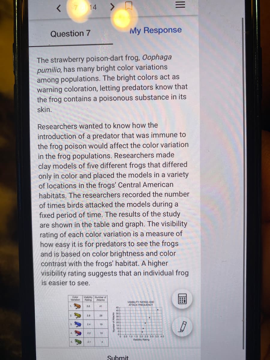 14
<>
Question 7
My Response
The strawberry poison-dart frog, Oophaga
pumilio, has many bright color variations
among populations. The bright colors act as
warning coloration, letting predators know that
the frog contains a poisonous substance in its
skin.
Researchers wanted to know how the
introduction of a predator that was immune to
the frog poison would affect the color variation
in the frog populations. Researchers made
clay models of five different frogs that differed
only in color and placed the models in a variety
of locations in the frogs' Central American
habitats. The researchers recorded the number
of times birds attacked the models during a
fixed period of time. The results of the study
are shown in the table and graph. The visibility
rating of each color variation is a measure of
how easy it is for predators to see the frogs
and is based on color brightness and color
contrast with the frogs' habitat. A higher
visibility rating suggests that an individual frog
is easier to see.
Color
Variation
Visibility Number of
Rating
Attacks
VISIBILITY RATING AND
ATTACK FREQUENGY
3.6
41
2.
2.8
28
8 20
19
2.2
10
ó 0.5 1.0 1.5 2.0 25 3.0 3.s 4.0
Visibility Rating
5.
2.1
4
Submit
umber of Attacke
II
