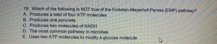 19. Which of the following is NOT true of the Embden-Meyerhof-Pamas (EMP) pathway?
A. Produces a total of four ATP molecules
B. Produces one pyruvate
C. Produces two molecules of NADH
D. The most common pathway in microbes
E. Uses two ATP molecules to modify a glucose molecule
K