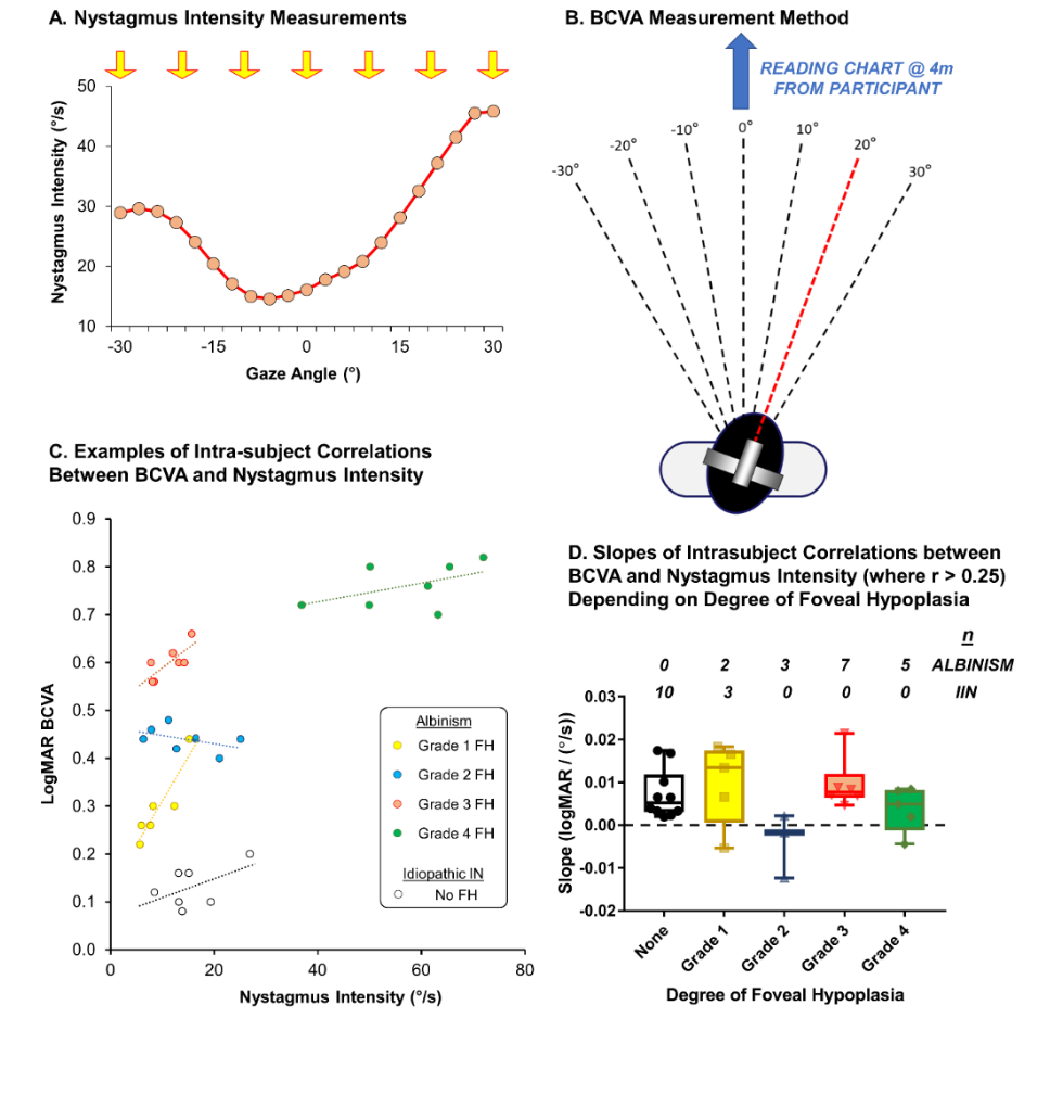 LogMAR BCVA
A. Nystagmus Intensity Measurements
Д Д Д Д
B. BCVA Measurement Method
READING CHART @ 4m
FROM PARTICIPANT
Nystagmus Intensity (°/s)
20
30
40
50
10
-30
-15
0
15
30
Gaze Angle (°)
C. Examples of Intra-subject Correlations
Between BCVA and Nystagmus Intensity
0.9
0.8
0.7
0.6
°
0
0.5
°
°
0.4
°
0.3
°°
00
0.2
0.1
0.0
0
20
°
Albinism
0 Grade 1 FH
Grade 2 FH
• Grade 3 FH
• Grade 4 FH
Idiopathic IN
No FH
40
Nystagmus Intensity (°/s)
60
80
Slope (logMAR/(°/s))
-30°
-20°
-10°
0°
10°
20°
30°
D. Slopes of Intrasubject Correlations between
BCVA and Nystagmus Intensity (where r > 0.25)
Depending on Degree of Foveal Hypoplasia
n
0.03-
10
10
2
3
7
5
ALBINISM
3
0
0
0
IIN
0.02-
0.01-
0.00+
-0.01-
-0.02
None
Grade 1
Grade 2
Grade 3
Grade 4
Degree of Foveal Hypoplasia