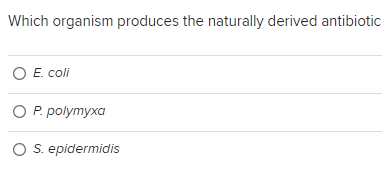 Which organism produces the naturally derived antibiotic
O E. coli
O P. polymyxa
O S. epidermidis