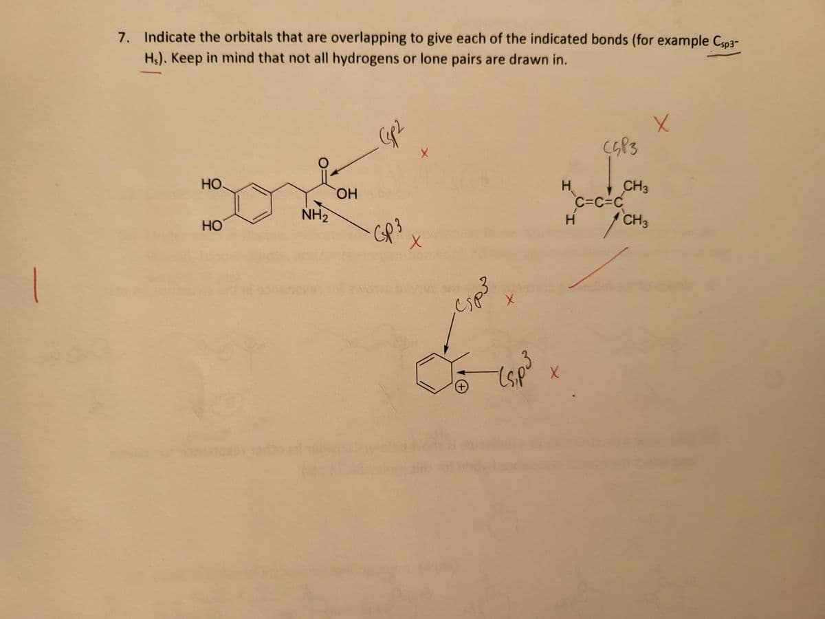 7. Indicate the orbitals that are overlapping to give each of the indicated bonds (for example Csp3-
Hs). Keep in mind that not all hydrogens or lone pairs are drawn in.
HO.
HO
NH₂
OH
دمی
Csp3
X
sp3
es
+
(₁,p³
X
H
C5P3
C=C=C
H
CH3
CH3
X