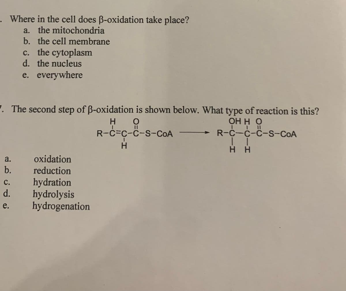 . Where in the cell does B-oxidation take place?
a. the mitochondria
b. the cell membrane
c. the cytoplasm
d. the nucleus
e. everywhere
7. The second step of B-oxidation is shown below. What type of reaction is this?
ОНН О
R-C-C-C-s-COA
H.
R-C=C-C-S-COA
H.
H H
a.
oxidation
b.
reduction
hydration
hydrolysis
hydrogenation
с.
d.
e.
