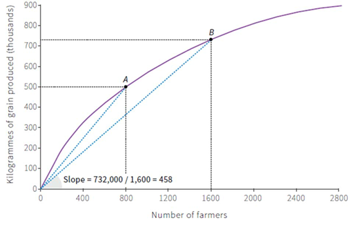 900
800-
700-
600-
500
400-
300-
200-
100-
Slope = 732,000 / 1,600 = 458
400
800
1200
1600
2000
2400
2800
Number of farmers
Kilogrammes of grain produced (thousands)
