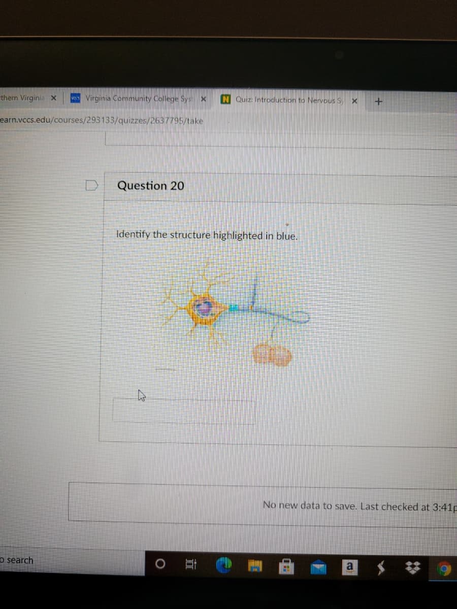 thern Virginia x
wVirginia Community College Sys x
N Quiz: Introduction to Nervous S X
earn.vccs.edu/courses/293133/quizzes/2637795/take
Question 20
Identify the structure highlighted in blue.
No new data to save. Last checked at 3:41p
o search
立
