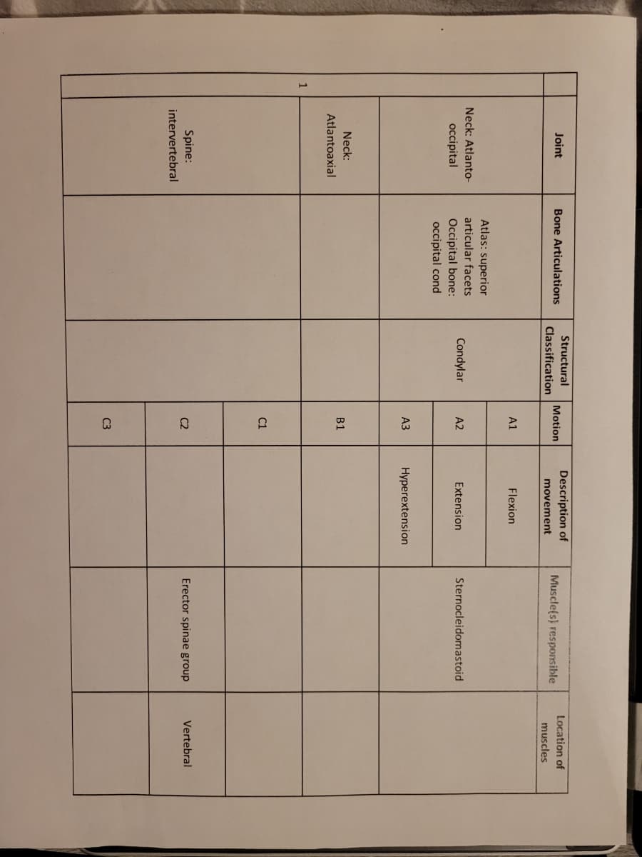 Structural
Description of
Location of
Joint
Bone Articulations
Motion
Muscle(s) responsible
Classification
movement
muscles
A1
Flexion
Atlas: superior
Neck: Atlanto-
articular facets
Condylar
A2
Extension
Sternocleidomastoid
occipital
Occipital bone:
occipital cond
АЗ
Hyperextension
Neck:
В 1
Atlantoaxial
C1
Spine:
Erector spinae group
Vertebral
C2
intervertebral
