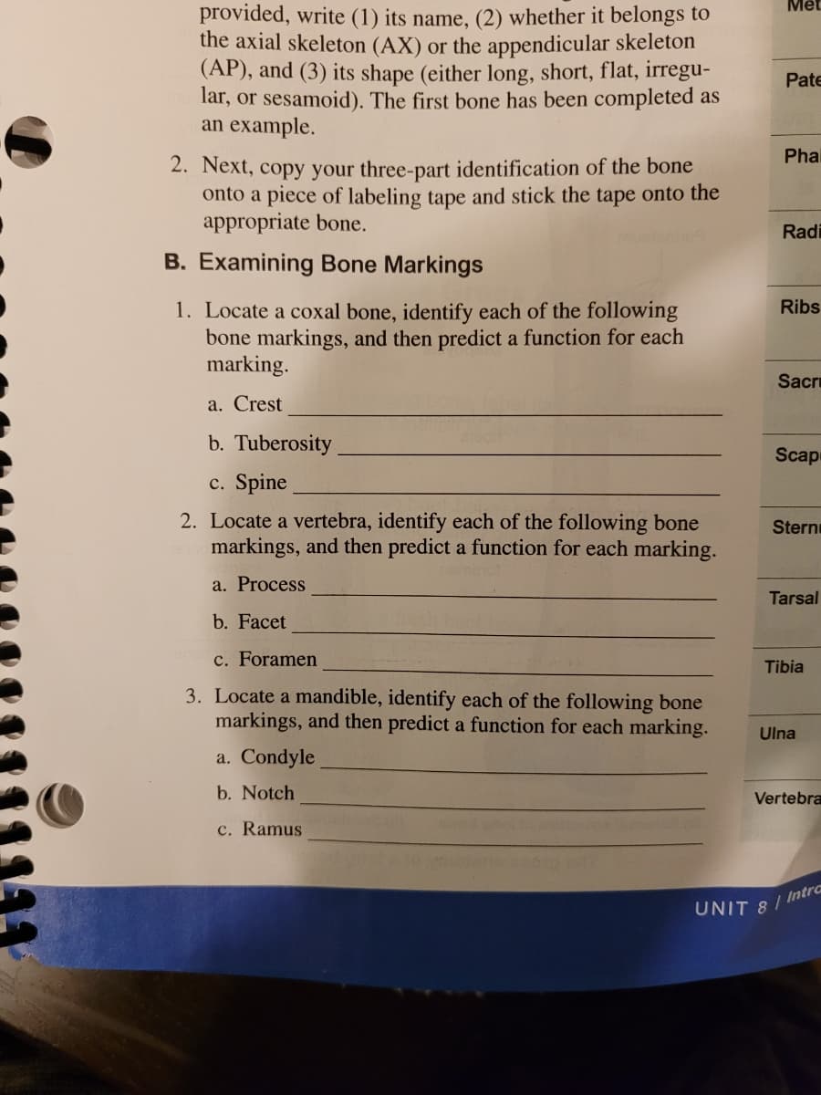 Mét
provided, write (1) its name, (2) whether it belongs to
the axial skeleton (AX) or the appendicular skeleton
(AP), and (3) its shape (either long, short, flat, irregu-
lar, or sesamoid). The first bone has been completed as
an example.
Pate
Phal
2. Next, copy your three-part identification of the bone
onto a piece of labeling tape and stick the tape onto the
appropriate bone.
Radi
B. Examining Bone Markings
1. Locate a coxal bone, identify each of the following
bone markings, and then predict a function for each
marking.
Ribs
Sacru
a. Crest
b. Tuberosity
Scap
c. Spine
2. Locate a vertebra, identify each of the following bone
markings, and then predict a function for each marking.
Stern
a. Process
Tarsal
b. Facet
c. Foramen
Tibia
3. Locate a mandible, identify each of the following bone
markings, and then predict a function for each marking.
Ulna
a. Condyle
b. Notch
Vertebra
c. Ramus
UNIT 8/ Intra
