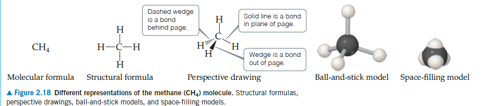 Dashed wedge
is a bond
behind page.
Solid line is a bond
H
in plane of page.
H
H-C-H
H.
Wedge is a bond
out of page.
CH4
H
H
Molecular formula Structural formula
Perspective drawing
Ball-and-stick model Space-filling model
A Figure 2.18 Different representations of the methane (CH4) molecule. Structural formulas,
perspective drawings, ball-and-stick models, and space-filling models.
