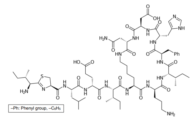 -NH
'N-
H,N.
NH
HN
HN
Ph
Но.
HN,
HN"
.N.
H2N
-Ph: Phenyl group, -C6H5
`NH2
......
