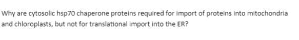 Why are cytosolic hsp70 chaperone proteins required for import of proteins into mitochondria
and chloroplasts, but not for translational import into the ER?
