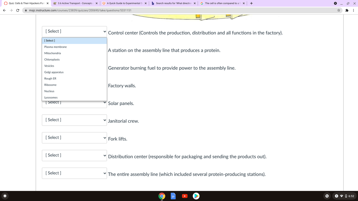 A Quiz: Cells & Their Hijackers Part X
= 3.6 Active Transport - Concepts X
S A Quick Guide to Experimental De X
b Search results for 'What direction X
G The cell is often compared to a f X
A msjc.instructure.com/courses/23839/quizzes/200690/take/questions/5331151
[ Select ]
" Control center (Controls the production, distribution and all functions in the factory).
[ Select ]
Plasma membrane
A station on the assembly line that produces a protein.
Mitochondria
Chloroplasts
Vesicles
Generator burning fuel to provide power to the assembly line.
Golgi apparatus
Rough ER
Factory walls.
Ribosome
Nucleus
Lysosomes
[ Select j
Solar panels.
[ Select ]
v Janitorial crew.
[ Select ]
v Fork lifts.
[ Select ]
Distribution center (responsible for packaging and sending the products out).
[ Select ]
The entire assembly line (which included several protein-producing stations).
O 6:52
