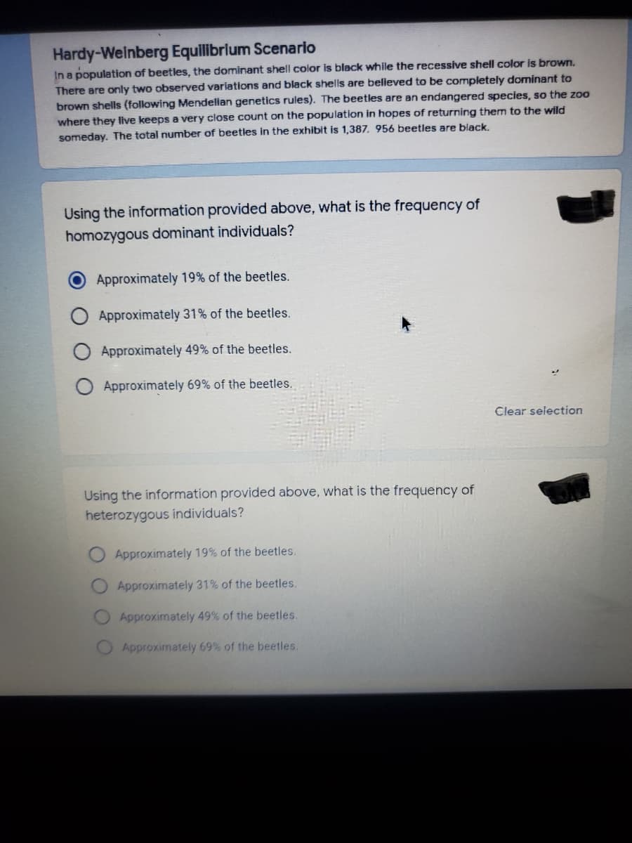 Hardy-Welnberg Equilibrlum Scenario
In a population of beetles, the dominant shell color is black while the recessive shell color is brown.
There are only two observed variations and black shells are believed to be completely dominant to
brown shells (following Mendelian genetics rules). The beetles are an endangered species, so the zoo
where they live keeps a very close count on the population in hopes of returning them to the wild
someday. The total number of beetles in the exhibit is 1,387. 956 beetles are black.
Using the information provided above, what is the frequency of
homozygous dominant individuals?
Approximately 19% of the beetles.
Approximately 31% of the beetles.
Approximately 49% of the beetles.
Approximately 69% of the beetles.
Clear selection
Using the information provided above, what is the frequency of
heterozygous individuals?
Approximately 19% of the beetles.
Approximately 31% of the beetles.
Approximately 49% of the beetles.
Approximately 69% of the beetles.
