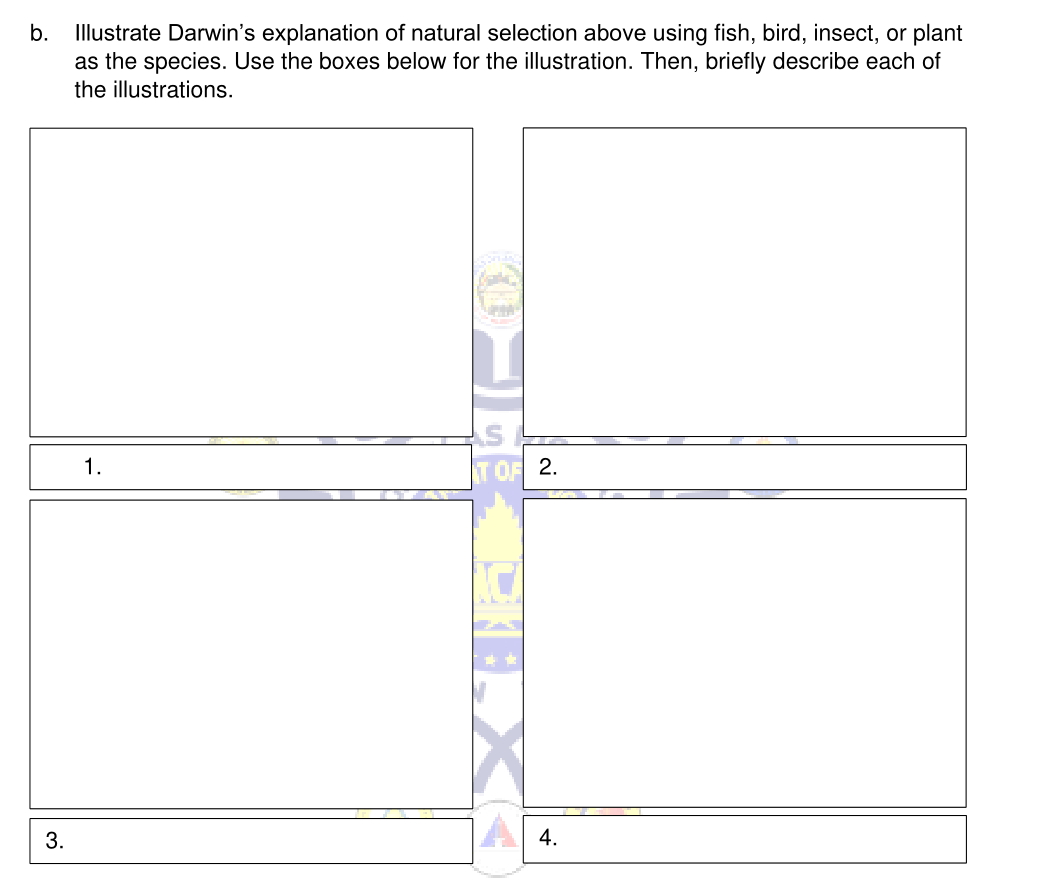 b.
Illustrate Darwin's explanation of natural selection above using fish, bird, insect, or plant
as the species. Use the boxes below for the illustration. Then, briefly describe each of
the illustrations.
1.
T OF 2.
3.
4.
