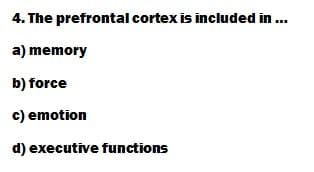 4. The prefrontal cortex is included in ...
a) memory
b) force
c) emotion
d) executive functions