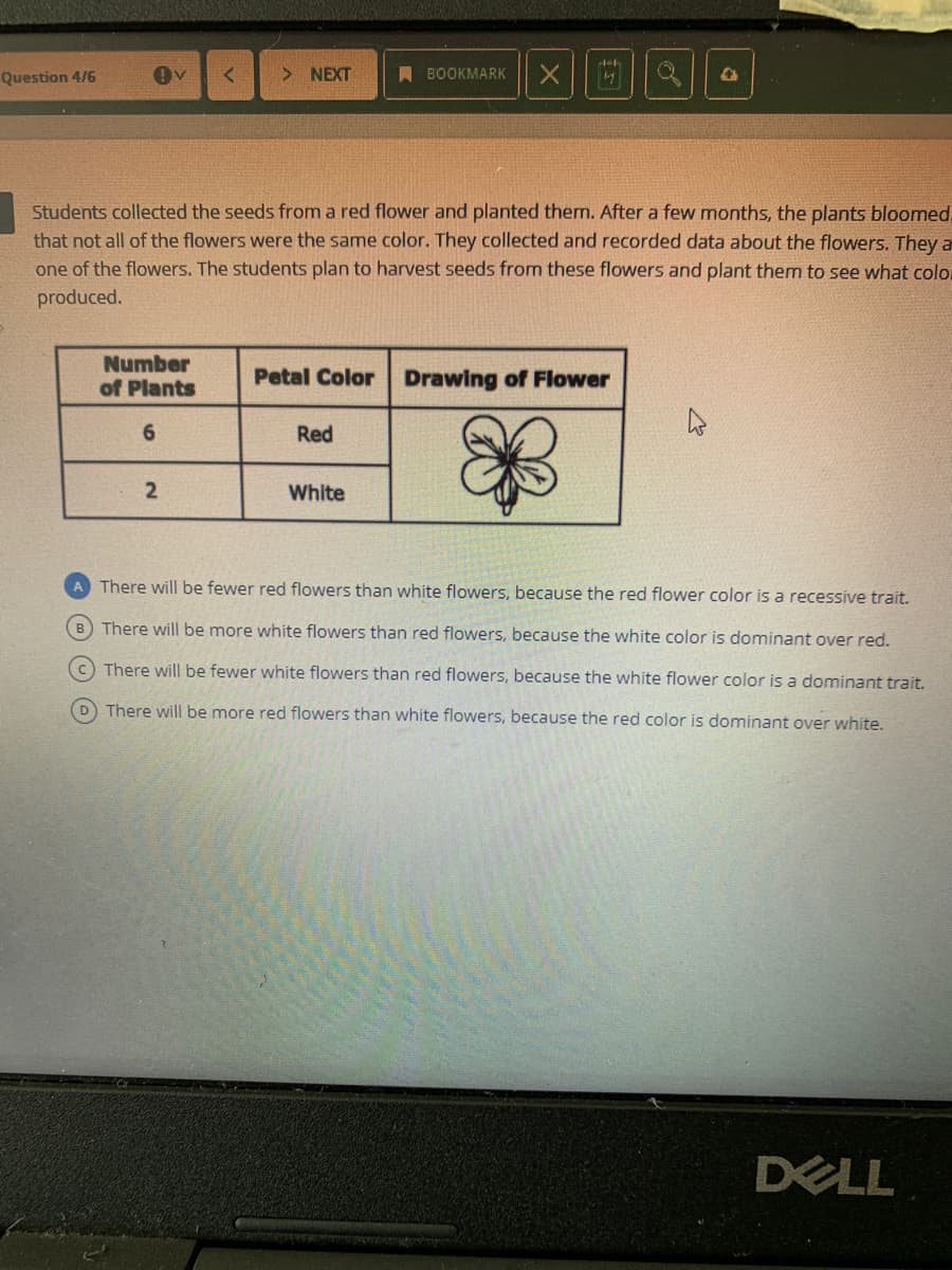 Question 4/6
> NEXT
A BOOKMARK
Students collected the seeds from a red flower and planted them. After a few months, the plants bloomed,
that not all of the flowers were the same color. They collected and recorded data about the flowers. They a
one of the flowers. The students plan to harvest seeds from these flowers and plant them to see what color
produced.
Number
of Plants
Petal Color Drawing of Flower
Red
White
A There will be fewer red flowers than white flowers, because the red flower color is a recessíve trait.
B There will be more white flowers than red flowers, because the white color is dominant over red.
C There will be fewer white flowers than red flowers, because the white flower color is a dominant trait.
D There will be more red flowers than white flowers, because the red color is dominant over white.
DELL
