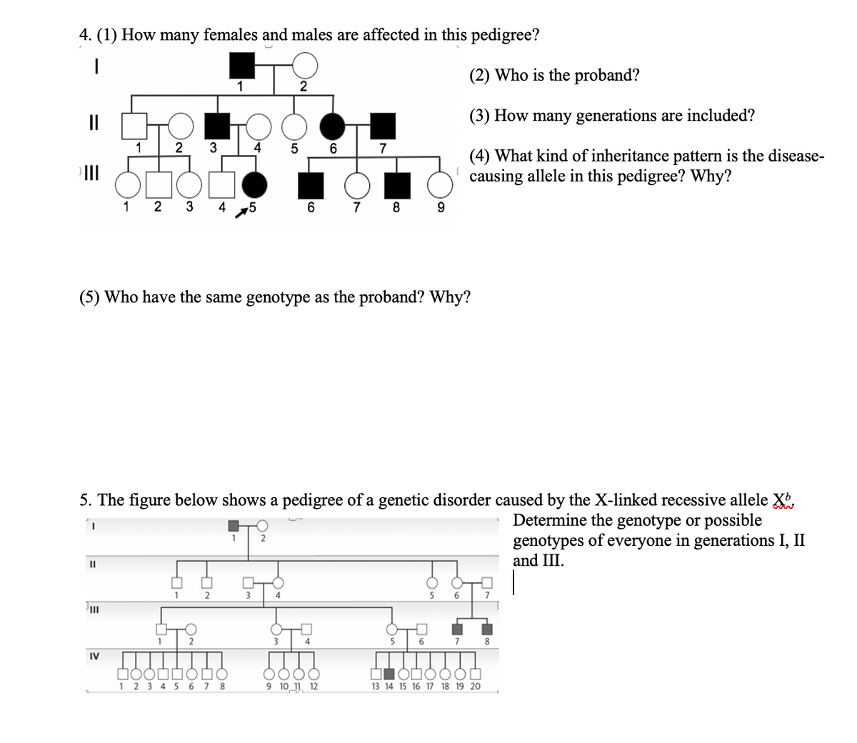 4. (1) How many females and males are affected in this pedigree?
(2) Who is the proband?
II
(3) How many generations are included?
1
2 3
4 5 6
7
(4) What kind of inheritance pattern is the disease-
causing allele in this pedigree? Why?
1 2
3
4 5
7
8
9.
(5) Who have the same genotype as the proband? Why?
5. The figure below shows a pedigree of a genetic disorder caused by the X-linked recessive allele X'.
Determine the genotype or possible
genotypes of everyone in generations I, II
and III.
II
3
5
8.
IV
1 2 3 4 56 7 8
9 10 1 12
13 14 15 16 17 18 19 20
