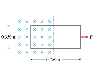 X X X X
X XX X X
0.350 m x x
X X
X X X X
X x X X x :
0.750 m
