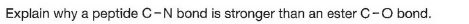 Explain why a peptide C-N bond is stronger than an ester C-O bond.
