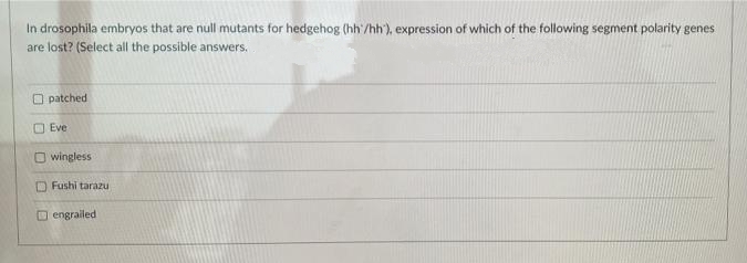 In drosophila embryos that are null mutants for hedgehog (hh /hh), expression of which of the following segment polarity genes
are lost? (Select all the possible answers.
O patched
OEve
O wingless
O Fushi tarazu
D engrailed
