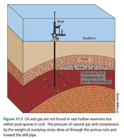 Well
Seafloor
Seal
Gas
Reservoir rock
containing oil
and dissolved gas
www
--
-
--
Figure 17.3 Oil and gas are not found in vast hollow reservoirs but
within pore spaces in rock. The pressure of natural gas and compression
by the weight of overlying strata drive oil through the porous rock and
toward the drill pipe.
Buyusee7 8bebuego
-1.
