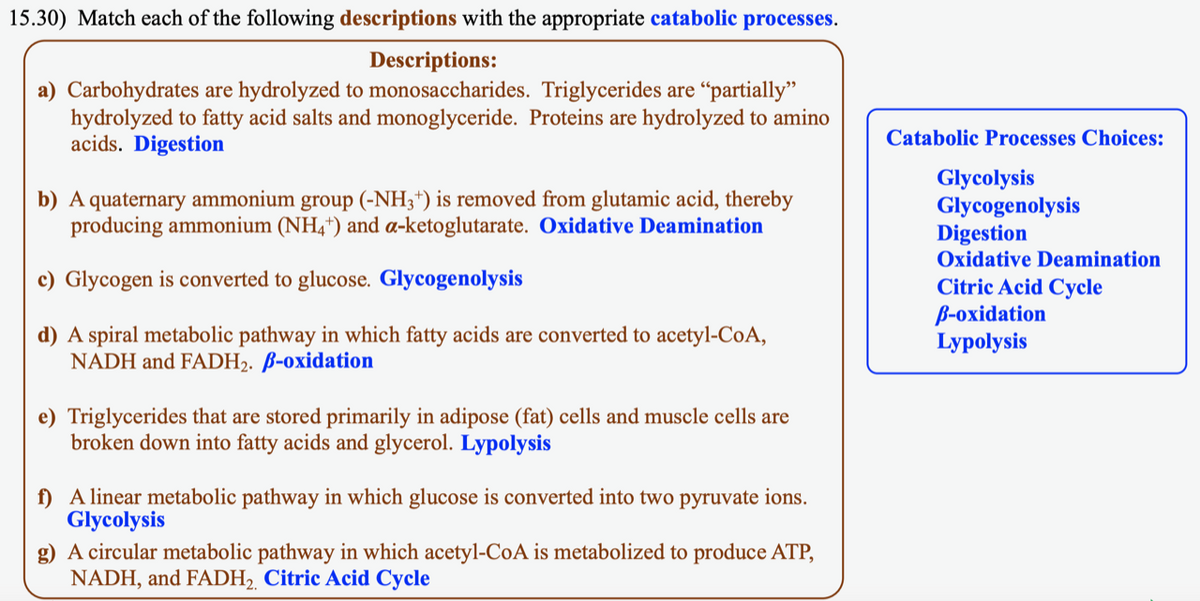 15.30) Match each of the following descriptions with the appropriate catabolic processes.
Descriptions:
a) Carbohydrates are hydrolyzed to monosaccharides. Triglycerides are "partially"
hydrolyzed to fatty acid salts and monoglyceride. Proteins are hydrolyzed to amino
acids. Digestion
b) A quaternary ammonium group (-NH3+) is removed from glutamic acid, thereby
producing ammonium (NH4+) and a-ketoglutarate. Oxidative Deamination
c) Glycogen is converted to glucose. Glycogenolysis
d) A spiral metabolic pathway in which fatty acids are converted to acetyl-CoA,
NADH and FADH₂. B-oxidation
e) Triglycerides that are stored primarily in adipose (fat) cells and muscle cells are
broken down into fatty acids and glycerol. Lypolysis
f)
A linear metabolic pathway in which glucose is converted into two pyruvate ions.
Glycolysis
g) A circular metabolic pathway in which acetyl-CoA is metabolized to produce ATP,
NADH, and FADH₂, Citric Acid Cycle
Catabolic Processes Choices:
Glycolysis
Glycogenolysis
Digestion
Oxidative Deamination
Citric Acid Cycle
B-oxidation
Lypolysis