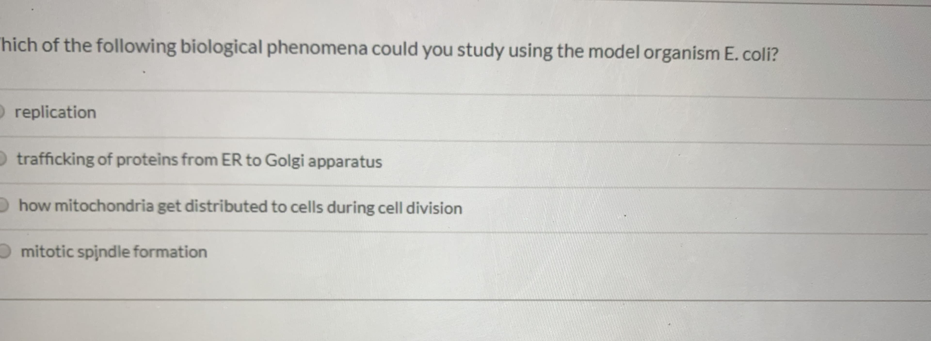 Thich of the following biological phenomena could you study using the model organism E.coli?
O replication
O trafficking of proteins from ER to Golgi apparatus
how mitochondria get distributed to cells during cell division
O mitotic spindle formation
