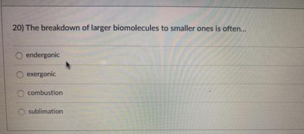 20) The breakdown of larger biomolecules to smaller ones is often...
O endergonic
O exergonic
combustion
sublimation
