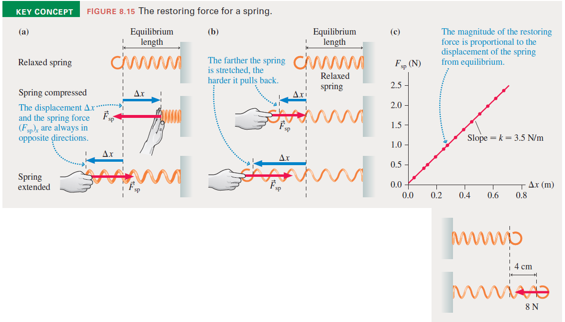 KEY CONCEPT
FIGURE 8.15 The restoring force for a spring.
Equilibrium
length
The magnitude of the restoring
force is proportional to the
displacement of the spring
from equilibrium.
(а)
Equilibrium
length
(b)
(c)
The farther the spring C
is stretched, the
Relaxed spring
Fp (N)
Relaxed
harder it pulls back.
spring
2.5 -
Spring compressed
Ax
AX!
2.0
The displacement Ax'
and the spring force
(Fsp)x are always in
opposite directions.
sp
1.5
Slope = k = 3.5 N/m
1.0
Ax
Ax
0.5
Spring
extended
TAr (m)
0.8
0.0
0.0
0.2
0.4
0.6
wwwo
4 cm
8 N
