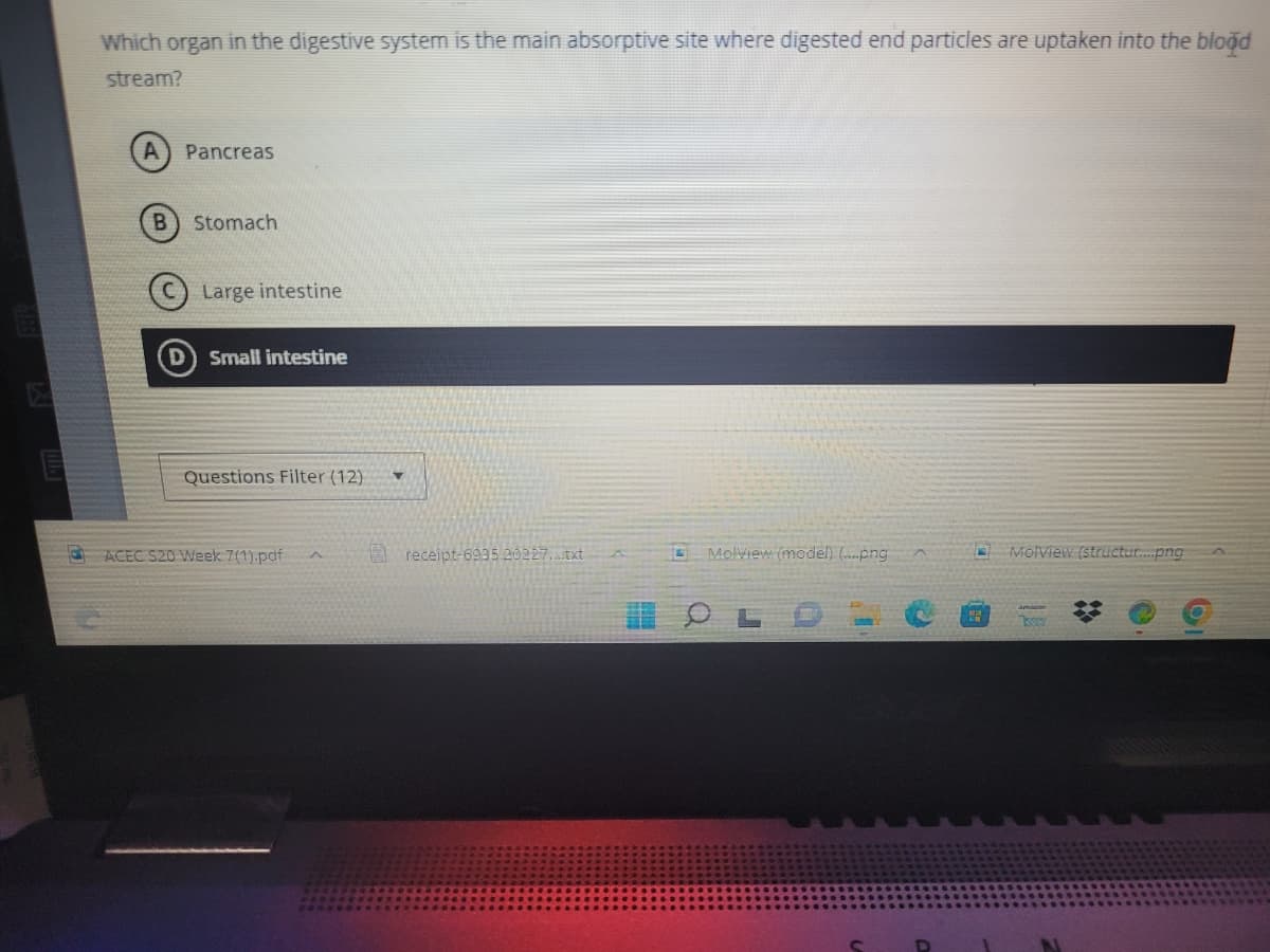 Which organ in the digestive system is the main absorptive site where digested end particles are uptaken into the blood
stream?
A Pancreas
B Stomach
Large intestine
(D) Small intestine
Questions Filter (12)
ACEC S20 Week 7(1).pdf
receipt-6995.20227....txt.
Molview (model) (....png ^
MolView (structur....png
61