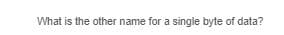 What is the other name for a single byte of data?
