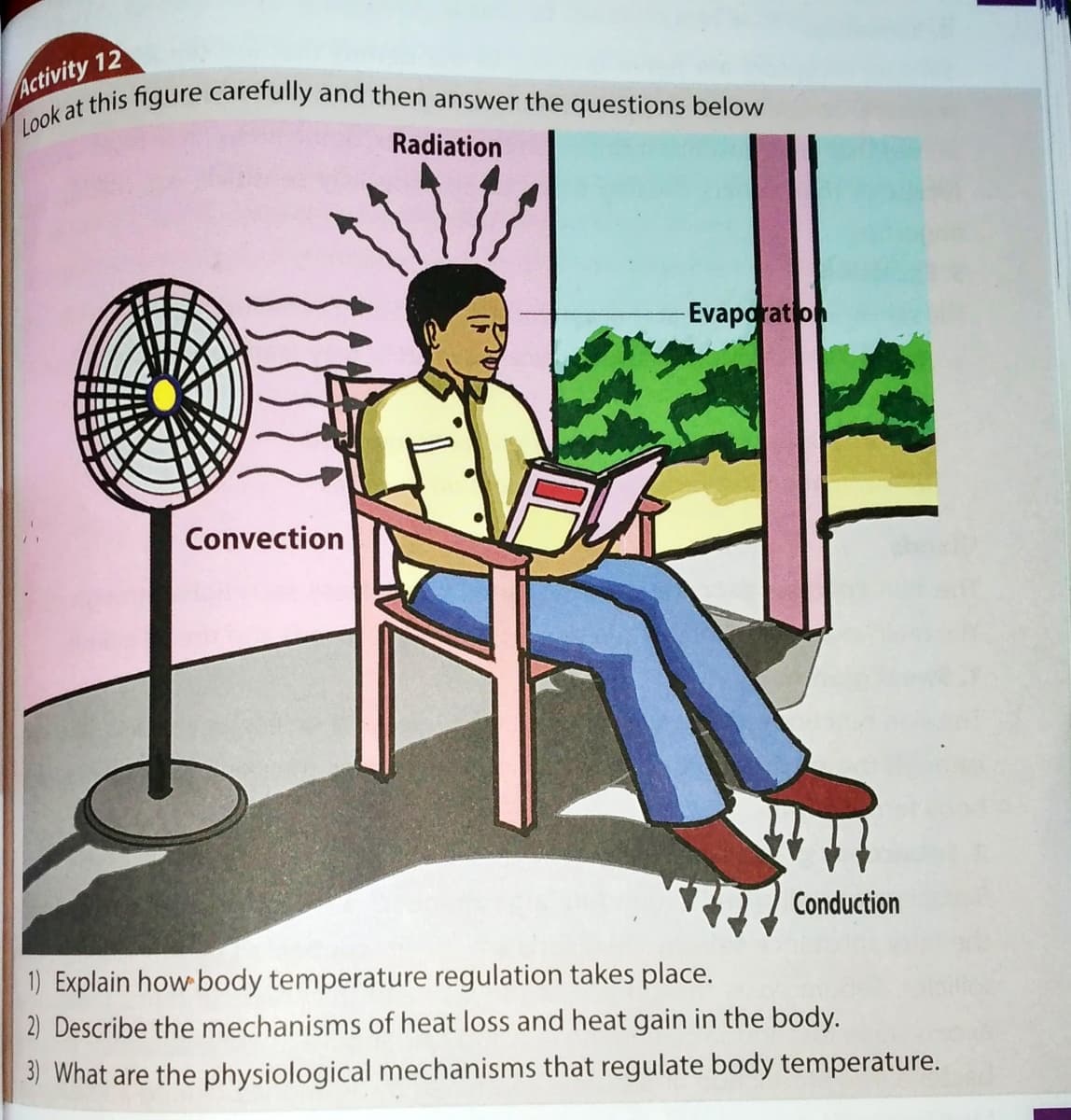 Look at this figure carefully and then answer the questions below
Activity 12
Radiation
-Evaporat on
Convection
Conduction
1) Explain how body temperature regulation takes place.
2) Describe the mechanisms of heat loss and heat gain in the body.
3) What are the physiological mechanisms that regulate body temperature.
