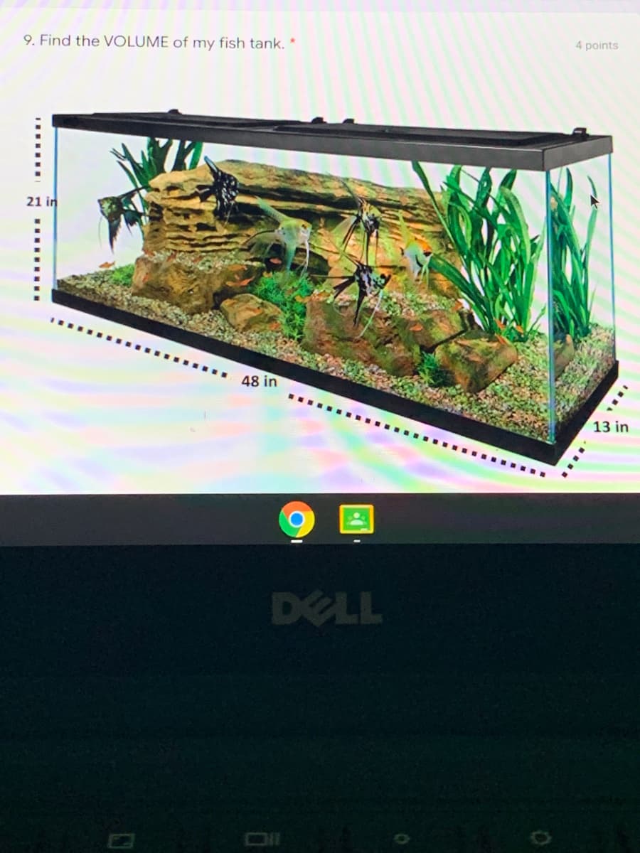 **Lesson: Calculating the Volume of a Rectangular Fish Tank**

**Example Question:**
*Find the VOLUME of my fish tank.*

**Description:**

In the given image, you see a rectangular fish tank with the following dimensions:
- Length: 48 inches
- Width: 13 inches
- Height: 21 inches

These measurements are marked clearly on the image with dotted lines illustrating each dimension.

To find the volume of the fish tank, we can use the formula for the volume of a rectangular prism:

\[ \text{Volume} = \text{Length} \times \text{Width} \times \text{Height} \]

**Calculation Steps:**

1. Identify the dimensions:
   - Length (L) = 48 inches
   - Width (W) = 13 inches
   - Height (H) = 21 inches

2. Plug the values into the formula:
   
\[ \text{Volume} = 48 \text{ in} \times 13 \text{ in} \times 21 \text{ in} \]

3. Multiply the values:
   
\[ \text{Volume} = 48 \times 13 \times 21 \]

Let's calculate step by step:

\[ 48 \times 13 = 624 \]

\[ 624 \times 21 = 13,104 \]

So the volume of the fish tank is \( 13,104 \) cubic inches.

**Summary:**

The fish tank in the image has a volume of **13,104 cubic inches**. This calculation helps you understand how to determine the space inside a rectangular container, which is essential for knowing how much water is required to fill it.

**Note:** Volumes in aquariums are frequently also expressed in gallons. There are 231 cubic inches in a gallon. To convert cubic inches to gallons:

\[ \text{Volume in gallons} = \frac{\text{Volume in cubic inches}}{231} \]

So, for the given volume:

\[ \text{Volume in gallons} = \frac{13,104}{231} \approx 56.7 \text{ gallons} \]

The fish tank can hold approximately **56.7 gallons** of water.