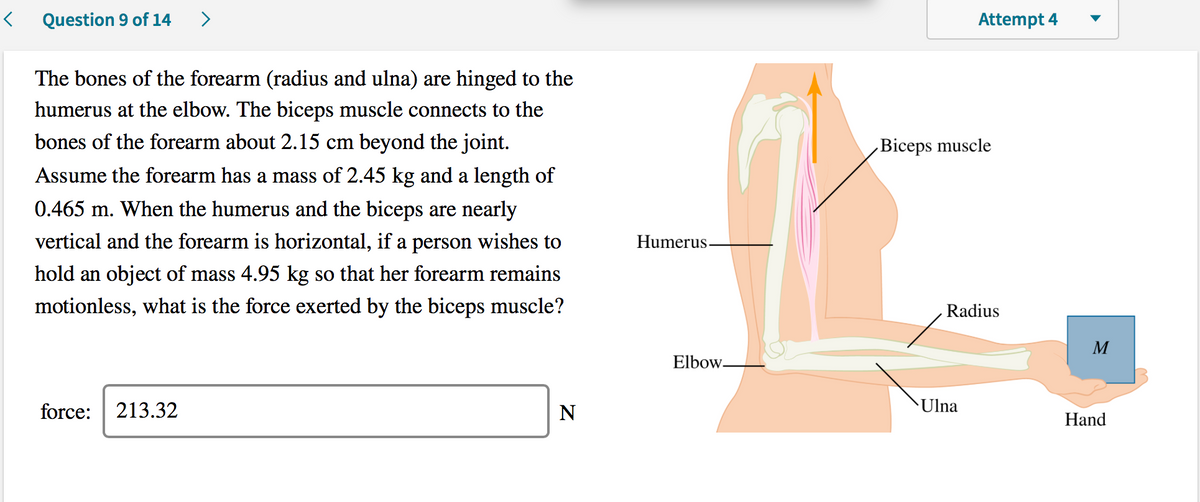 Question 9 of 14
>
Attempt 4
The bones of the forearm (radius and ulna) are hinged to the
humerus at the elbow. The biceps muscle connects to the
bones of the forearm about 2.15 cm beyond the joint.
Biceps muscle
Assume the forearm has a mass of 2.45 kg and a length of
0.465 m. When the humerus and the biceps are nearly
vertical and the forearm is horizontal, if a person wishes to
Humerus.
hold an object of mass 4.95 kg so that her forearm remains
motionless, what is the force exerted by the biceps muscle?
Radius
M
Elbow.
force:
213.32
N
Ulna
Hand
