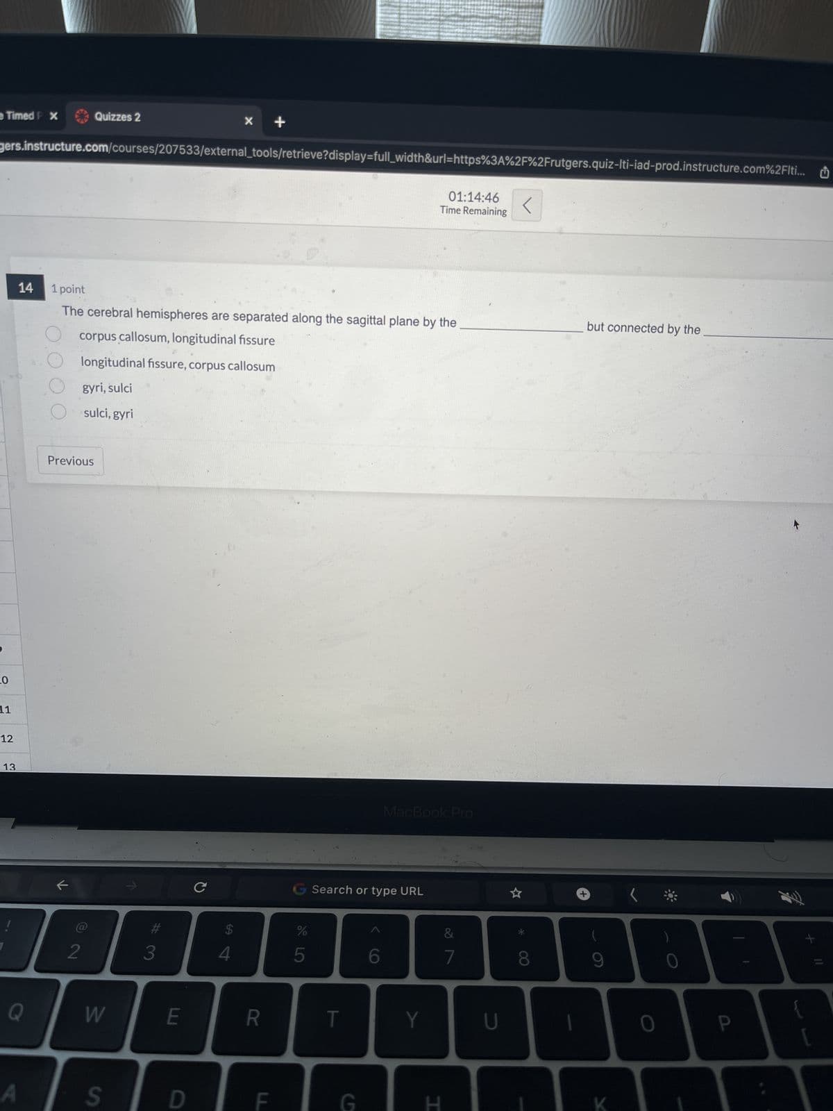 e Timed P X
LO
gers.instructure.com/courses/207533/external_tools/retrieve?display=full_width&url=https%3A%2F%2Frutgers.quiz-Iti-iad-prod.instructure.com%2Flti...
11
12
13
14
Q
Quizzes 2
Previous
2
1 point
The cerebral hemispheres are separated along the sagittal plane by the
corpus callosum, longitudinal fissure
longitudinal fissure, corpus callosum
gyri, sulci
Osulci, gyri
W
S
#
3
E
D
X +
$
4
R
F
do L
%
5
Search or type URL
T
G
>
6
MacBook Pro
01:14:46 <
Time Remaining
Y
I
&
7
U
8
but connected by the
9
K
0
P
F
+
{