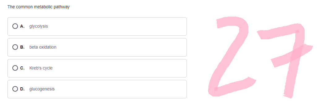 The common metabolic pathway
O A. glycolysis
B. beta oxidation
O c. Kreb's cycle
O D. glucogenesis
27