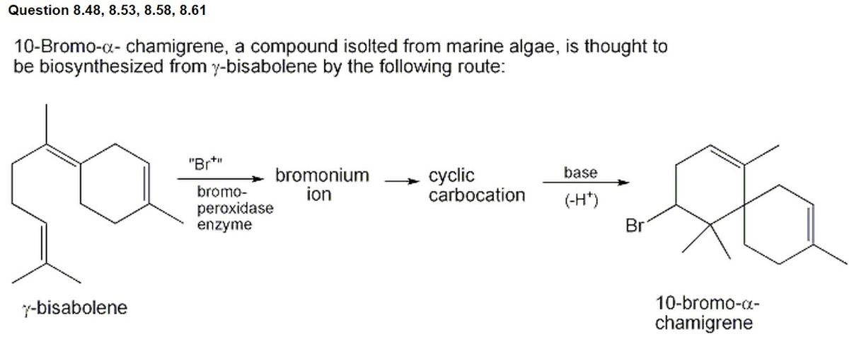 Question 8.48, 8.53, 8.58, 8.61
10-Bromo-a- chamigrene, a compound isolted from marine algae, is thought to
be biosynthesized from y-bisabolene by the following route:
"Br*"
base
bromonium
ion
cyclic
carbocation
bromo-
peroxidase
enzyme
(-H*)
Br
y-bisabolene
10-bromo-a-
chamigrene
