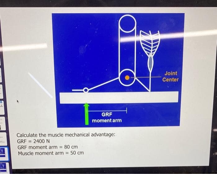 Hy
GRF
moment arm
Calculate the muscle mechanical advantage:
GRF = 2400 N
GRF moment arm = 80 cm
Muscle moment arm = 50 cm
Joint
Center