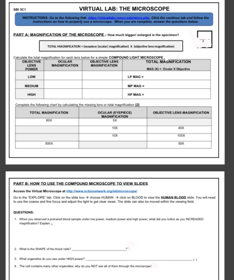 SBI 3C1
VIRTUAL LAB: THE MICROSCOPE
INSTRUCTIONS: Go to the following link: https://virtuallabs.nmsu.edu/micro.php. Click the continue tab and follow the
instructions on how to properly use a microscope. When you are complete, answer the questions below.
PART A: MAGNIFICATION OF THE MICROSCOPE - How much biggerl enlarged is the specimen?
TOTAL MAGNIFICATIION (eyepiece (ocular) magnification) X (objective lens magnification)
Calculate the total magnification for each lens below for a simple COMPOUND LIGHT MICROSCOPE
ОBJECTIVE
LENS
POWER
OCULAR
MAGNIFICATION
OBJECTIVE LENS
MAGNIFICATION
TOTAL MAGNIFICATION
MAG (X) = Ocular X Objective
LOW
LP MAG =
MEDIUM
MP MAG=
HIGH
HP MAG-
Complete the following chart by calculating the missing lens or total magnification [2]
TOTAL MAGNIFICATION
OBJECTIVE LENS MAGNIR
AR (EYEPIECE)
MAGNIFICATION
5X
80X
10X
40X
10X
100X
500X
50X
PART B: HOW TO USE THE COMPOUND MICROSCOPE TO VIEW SLIDES
Access the Virtual Microscope at http://www.ncbionetwork.orglietimicroscopel
Go to the "EXPLORE" tab. Click on the slide box → choose HUMAN → dlick on BLOOD to view the HUMAN BLOOD slide. You will need
to use the coarse and fine focus and adjust the light to get clear views. The slide can also be moved within the viewing field.
QUESTIONS:
1. When you observed a prenared blood sample under low power, medium power and high power, what did you notice as you INCREASED
magnification? Explain.
2. What is the SHAPE of the blood cells?
3. What organelles do you see under HIGH power?
4. The cell contains many other organelles; why do you NOT see all of them through the microscope
