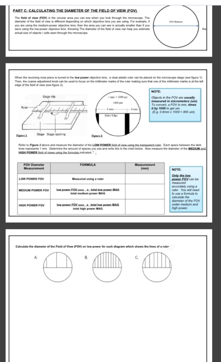 PART C: CALCULATING THE DIAMETER OF THE FIELD OF VIEW (FOV)_
The field of view (FOV) is the circular area you can see when you look through the microscope. The
diameter of the field of view is different depending on which objective lens you are using. For example,
you are using the medium-power objective lens, then the area you can see is actually smaller than if you
were using the low-power objective lens. Knowing The diameter of the field of view can help you estimate
actual size of objects / cells seen through the microscope.
When the revolving nose piece is turned to the low power objective lens, a dear plastic ruler can be placed on the microscope stage (see figure 1).
Then, the coarse adjustment knob can be used to focus on the millimeter marks of the ruler making sure that one of the milimeter marks is at the left
edge of the field of view (see figure 2).
NOTE:
Slage cip
I-1000
Objects in the FOV are usually
measured in micrometers (um).
To convert, a FOV in mm, times
it by 1000 to get um.
(Eg. 0.8mm x 1000 = 800 um).
1400 m
Ruler
A mm-
Raler Edee
Eigure
Stage Sagu oponing
Eigure 2
Refer to Figure 2 above and measure the diameter of the LOW POWER.field.of.view.using the transparant.ruler. Each space between the dark
lines represents1 mm. Determine the amount of spaces you see and write this in the chart below. Now measure the diameter of the MEDIUM.and
HIGH POWER feld of views using the formulas indicated.".
FOV Diameter
Measurement
Measurement
(mm)
FORMULA
NOTE:
LOW POWER FOv
Only the low
power FOV can be
Measured using a ruler
measured
accurately using a
ruler. You will need
to use a formula to
calculate the
diameter of the FOV
under medium and
high power.
low power FOV.imm total low power MAG
total medium power MAG
MEDIUM POWER FOV
HIGH POWER FOV
low power FOV immix total low power MAG
total high power MAG
Calculate the diameter of the Field of View (FOV) on low power for each diagram which shows the lines of a ruler
A.
B.
C.
