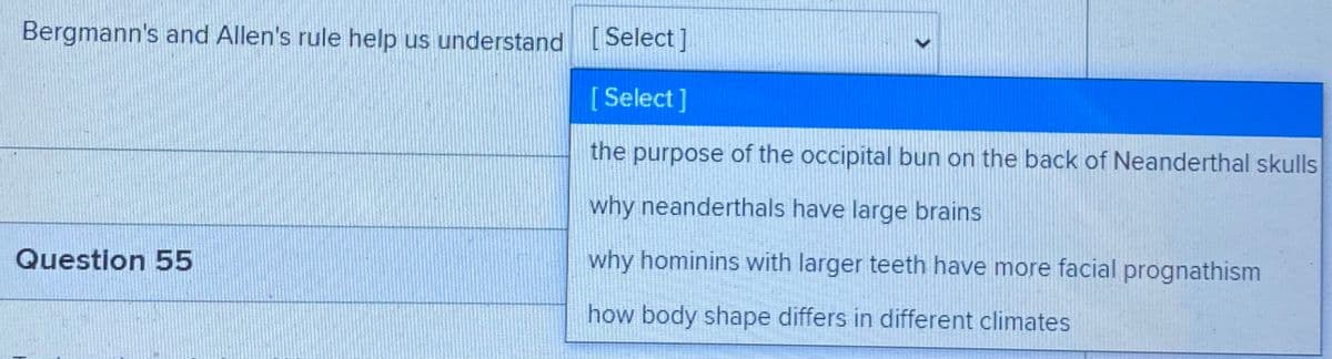 Bergmann's and Allen's rule help us understand [Select]
[ Select]
the purpose of the occipital bun on the back of Neanderthal skulls
why neanderthals have large brains
Question 55
why hominins with larger teeth have more facial prognathism
how body shape differs in different climates
