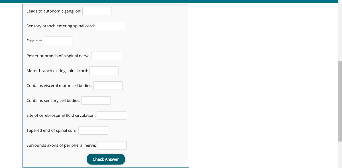 Leads to autonomic ganglion:
Sensory branch entering spinal cord:
Fascicle:
Posterior branch of a spinal nerve:
Motor branch exiting spinal cord:
Contains visceral motor cell bodies:
Contains sensory cell bodies:
Site of cerebrospinal fluid circulation:
Tapered end of spinal cord:
Surrounds axons of peripheral nerve:
Check Answer