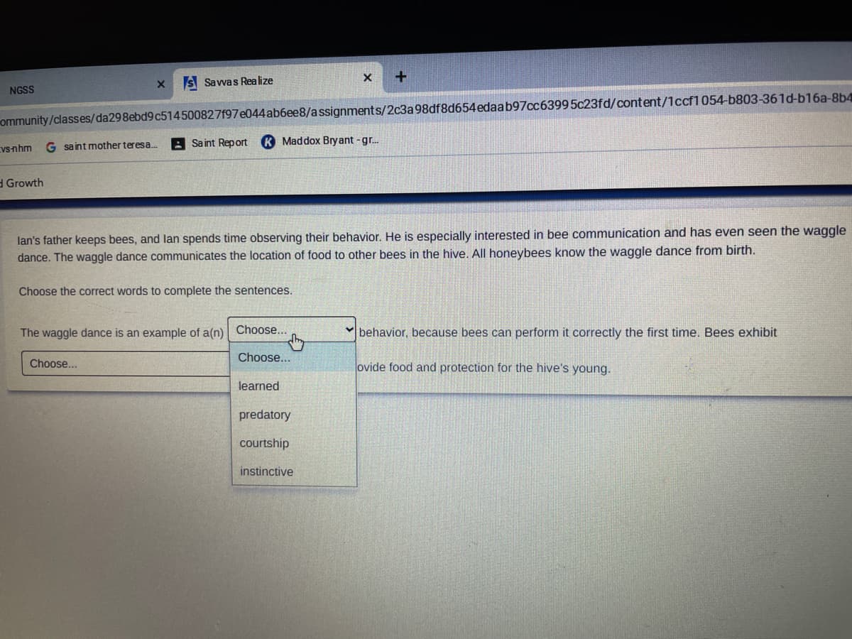 S Savwas Rea lize
NGSS
ommunity/classes/da298ebd9 c514500827f97e044ab6ee8/assignments/2c3a 98df8d654edaab97cc6399 5c23fd/content/1ccf1054-b803-361d-b16a-8b4
G saint mother teresa.
A Sa int Report
K Maddox Bry ant - gr.
Vs-nhm
Growth
lan's father keeps bees, and lan spends time observing their behavior. He is especially interested in bee communication and has even seen the waggle
dance. The waggle dance communicates the location of food to other bees in the hive. All honeybees know the waggle dance from birth.
Choose the correct words to complete the sentences.
The waggle dance is an example of a(n) Choose...
behavior, because bees can perform it correctly the first time. Bees exhibit
Choose...
Choose...
ovide food and protection for the hive's young.
learned
predatory
courtship
instinctive
