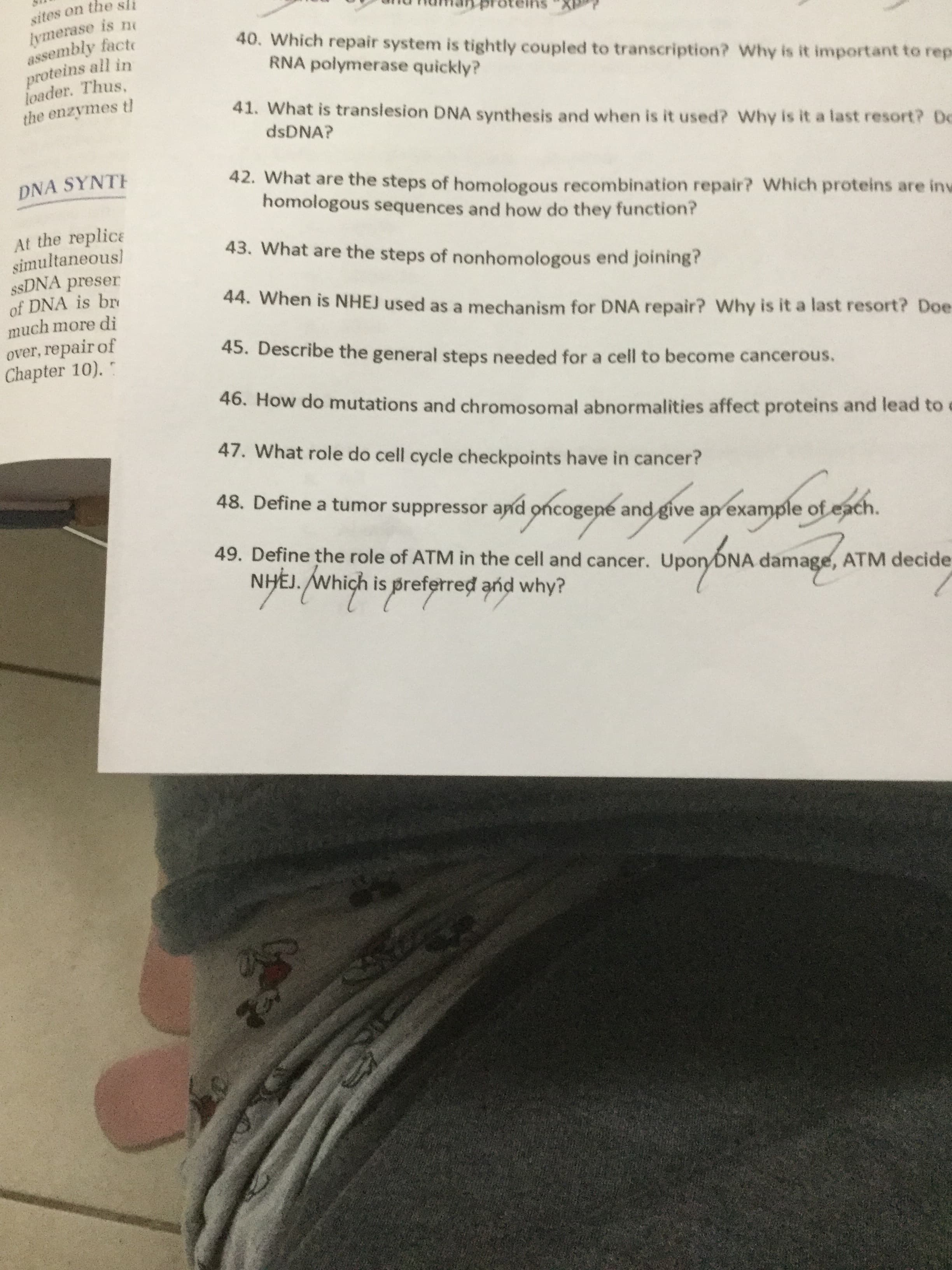 sites on the sli
lymerase is n
assembly facte
proteins all in
loader. Thus,
the enzymes tl
40. Which repair system is tightly coupled to transcription? Why is it important to rep
RNA polymerase quickly?
41. What is translesion DNA synthesis and when is it used? Why is it a last resort? Dc
dsDNA?
42. What are the steps of homologous recombination repair? Which proteins are inv
homologous sequences and how do they function?
DNA SYNTE
At the replice
simultaneous)
SSDNA preser
of DNA is brv
much more di
43. What are the steps of nonhomologous end joining?
44. When is NHEJ used as a mechanism for DNA repair? Why is it a last resort? Doe
over, repair of
Chapter 10).
45. Describe the general steps needed for a cell to become cancerous.
46. How do mutations and chromosomal abnormalities affect proteins and lead to
47. What role do cell cycle checkpoints have in cancer?
48. Define a tumor suppressor apnd oncogene and give an example of
each.
49. Define the role of ATM in the cell and cancer.
NHEJ. Which is preferred and why?
Upon DNA damage, ATM decide
