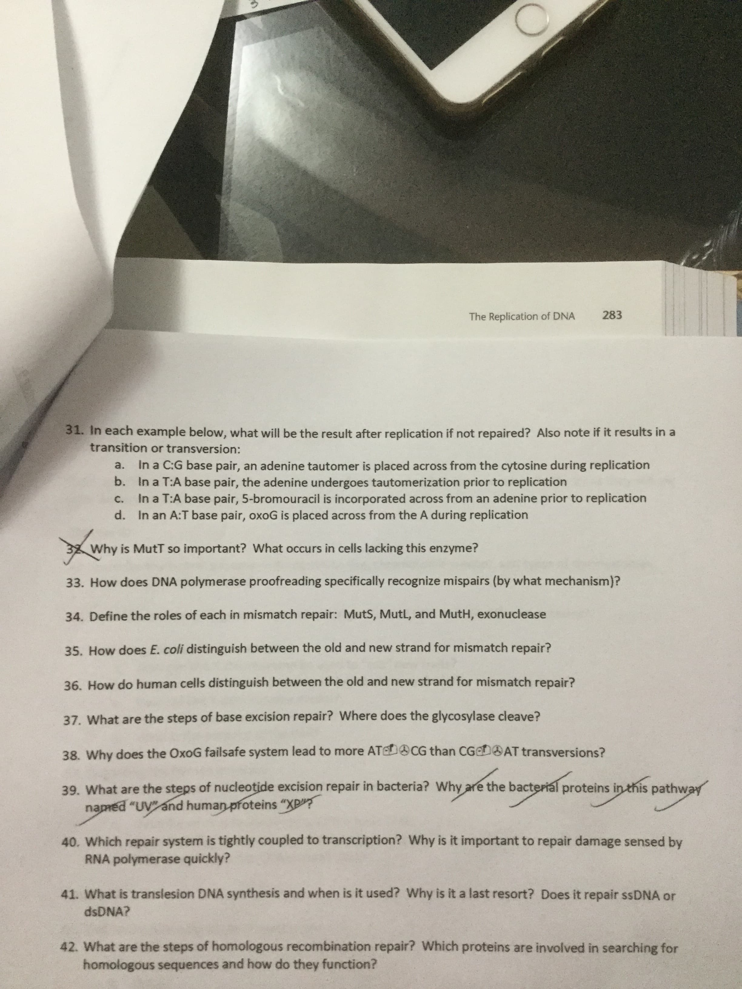 The Replication of DNA
283
31. In each example below, what will be the result after replication if not repaired? Also note if it results in a
transition or transversion:
In a C:G base pair, an adenine tautomer is placed across from the cytosine during replication
b. In a T:A base pair, the adenine undergoes tautomerization prior to replication
In a T:A base pair, 5-bromouracil is incorporated across from an adenine prior to replication
d. In an A:T base pair, oxoG is placed across from the A during replication
a.
C.
Why is MutT so important? What occurs in cells lacking this enzyme?
33. How does DNA polymerase proofreading specifically recognize mispairs (by what mechanism)?
34. Define the roles of each in mismatch repair: MutS, MutL, and MutH, exonuclease
35. How does E. coli distinguish between the old and new strand for mismatch repair?
36. How do human cells distinguish between the old and new strand for mismatch repair?
37. What are the steps of base excision repair? Where does the glycosylase cleave?
38. Why does the OxoG failsafe system lead to more ATEDOCG than CGDOAT transversions?
39. What are the steps of nucleotide excision repair in bacteria? Why are the bacterial proteins in this pathway
named "UV" and human proteins "XP?
40. Which repair system is tightly coupled to transcription? Why is it important to repair damage sensed by
RNA polymerase quickly?
41. What is translesion DNA synthesis and when is it used? Why is it a last resort? Does it repair SSDNA or
dsDNA?
42. What are the steps of homologous recombination repair? Which proteins are involved in searching for
homologous sequences and how do they function?
