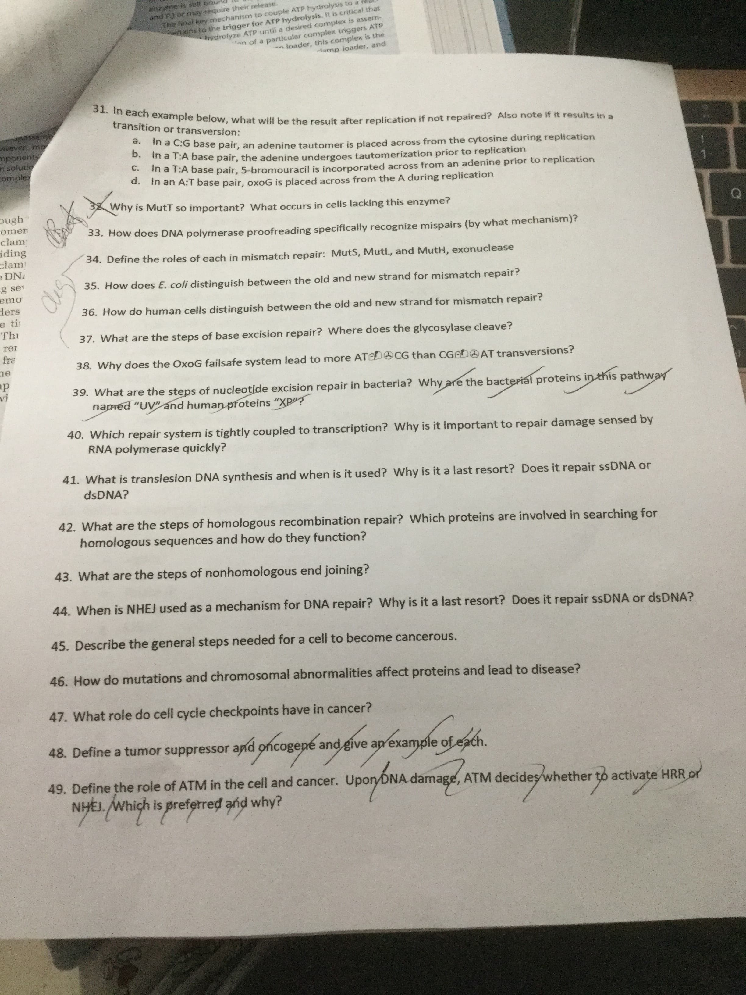 enme solt bau
and P) or ray require their release.
The inai key mechanism to couple ATP hydrolysis to a
erlains to the trigger for ATP hydrolysis. ft is critical that
ydrolyze ATP until a desired complex is assern-
of a particular complex triggers ATP
nloader, this complex is the
lamp loader, and
cn example below, what will be the result after replication if not repaired? Also note if it results in a
transition or transversion:
a.
wever, m
ponent
sofutie
somples
ra C.G base pair, an adenine tautomer is placed across from the cytosine during replication
ra HA base pair, the adenine undergoes tautomerization prior to replication
C.
maTA base pair, 5-bromouracil is incorporated across from an adenine prior to replication
d. in an A:T base pair, oxoG is placed across from the A during replication
Why is MutT so important? What occurs in cells lacking this enzyme?
pugh
omer
33. How does DNA polymerase proofreading specifically recognize mispairs (by what mechanism)?
clam
iding
clam
e DN.
34. Define the roles of each in mismatch repair: MutS, Mutl., and MutH, exonuclease
g se
35. How does E. coli distinguish between the old and new strand for mismatch repair?
emo
ders
e ti
Thi
36. How do human cells distinguish between the old and new strand for mismatch repair?
37. What are the steps of base excision repair? Where does the glycosylase cleave?
rer
fra
38. Why does the OxoG failsafe system lead to more ATEDCG than CGeDOAT transversions?
ne
пр
vi
39. What are the steps of nucleotide excision repair in bacteria? Why are the bacterial proteins in this pathway
named "UV" ánd human proteins "XP"?
40. Which repair system is tightly coupled to transcription? Why is it important to repair damage sensed by
RNA polymerase quickly?
41. What is translesion DNA synthesis and when is it used? Why is it a last resort? Does it repair SSDNA or
dsDNA?
42. What are the steps of homologous recombination repair? Which proteins are involved in searching for
homologous sequences and how do they function?
43. What are the steps of nonhomologous end joining?
44. When is NHEJ used as a mechanism for DNA repair? Why is it a last resort? Does it repair SSDNA or dsDNA?
45. Describe the general steps needed for a cell to become cancerous.
46. How do mutations and chromosomal abnormalities affect proteins and lead to disease?
47. What role do cell cycle checkpoints have in cancer?
48. Define a tumor suppressor apd oncogene and give an example of each.
49. Define the role of ATM in the cell and cancer.
Upon/DNA damage, ATM decides whether to activațe HRR or
NHEJ. Which is preferred and why?
